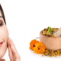 Чем полезна маска с календулой для лица?