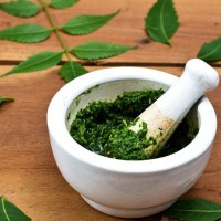 В чем особенность масок с нимом для лица?